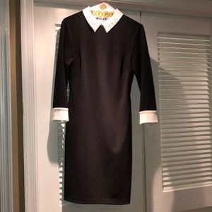 Ivanka Trump Black dress w/ white collar and cuffs